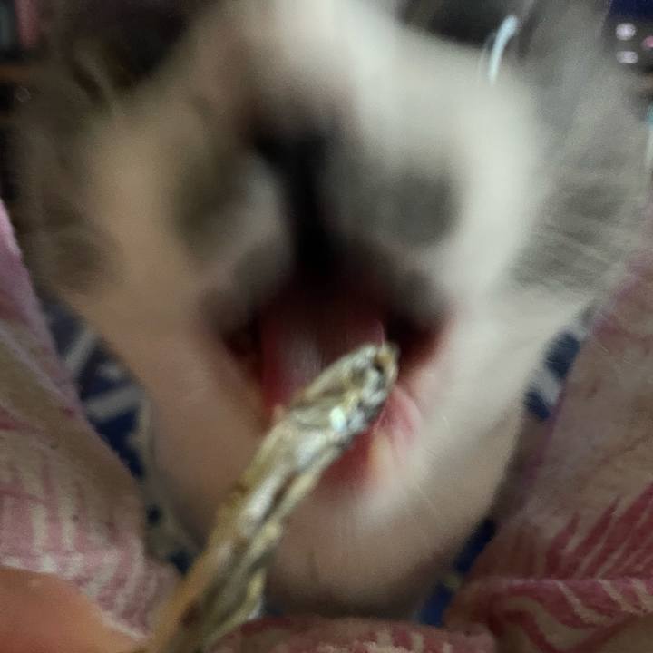 8dd2610c 93dd 4a0f a6c3 f0acfc311374 1652426037798