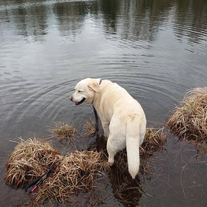 8dd26948 e515 4b9d bff8 699ae3be5c69 1746930882968