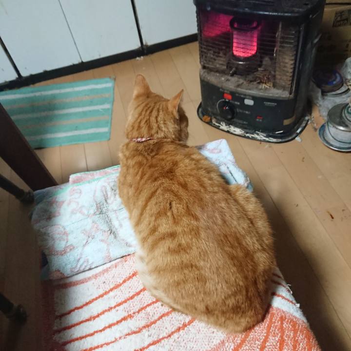 8dd27909 b8ce 46c5 aa7a 89d347c77bf4 1603576244612