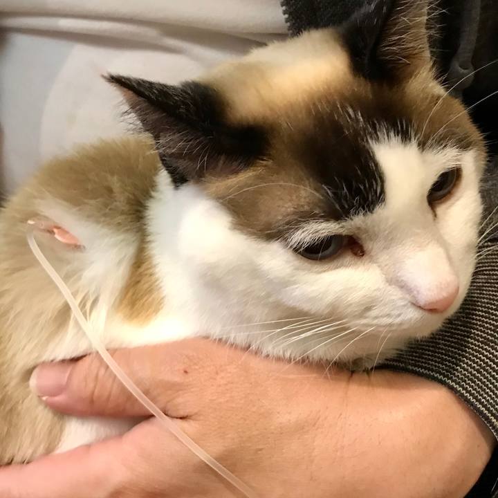 8dd28a0c 37fe 402b 8433 4fae91b5a443 1587024666877