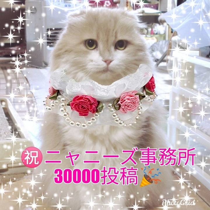 8dd28c83 a46c 467d 9476 f217b7376cfa 1576408493054