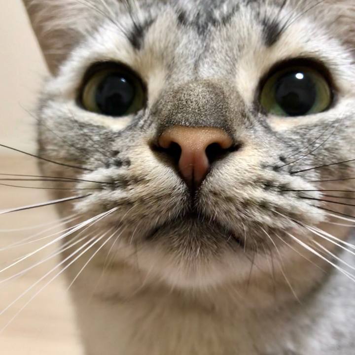 8dd2b980 f5e2 4f3b b21d 896adfb11aa9 1541684196648