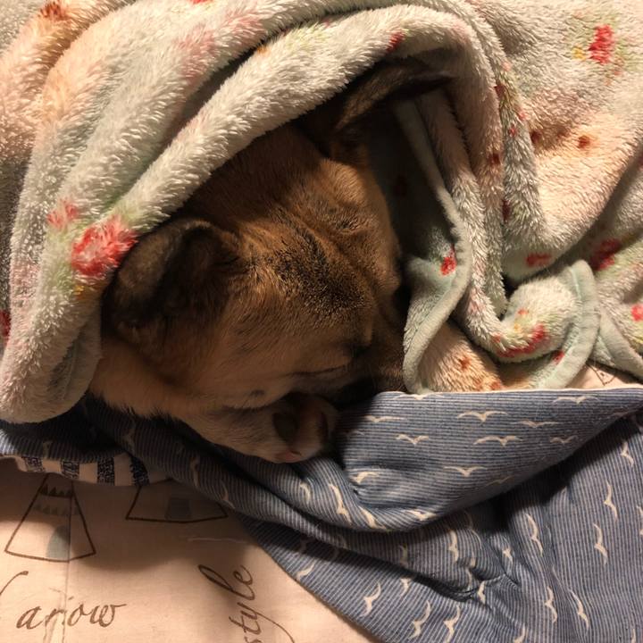 8dd2bd48 1ea0 46a7 bd7b b944835e547a 1549453836637