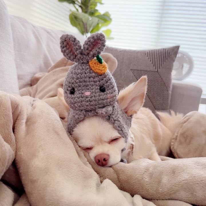 8dd2d509 bfa6 4b7a 8830 e2247c9acace 1687177620258