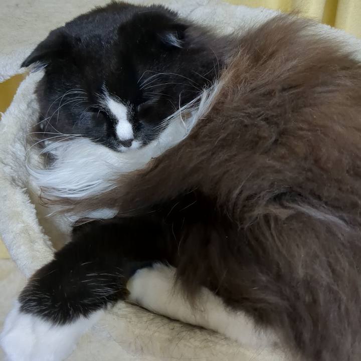 8dd2f89f 5389 4a7f 9768 2c071cf939c6 1666657739444