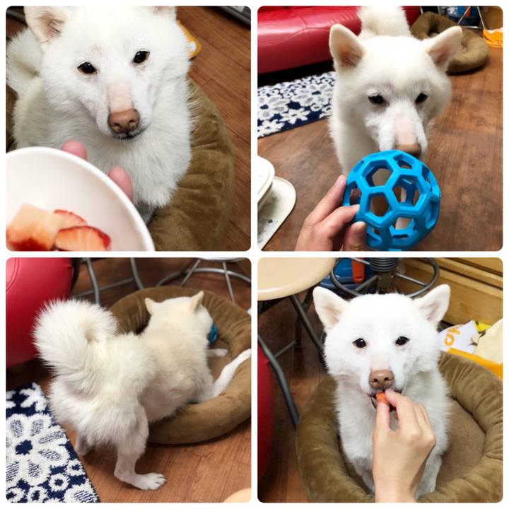 8dd307be 355e 410e 9648 d5bac6efc5b4 1523965885587