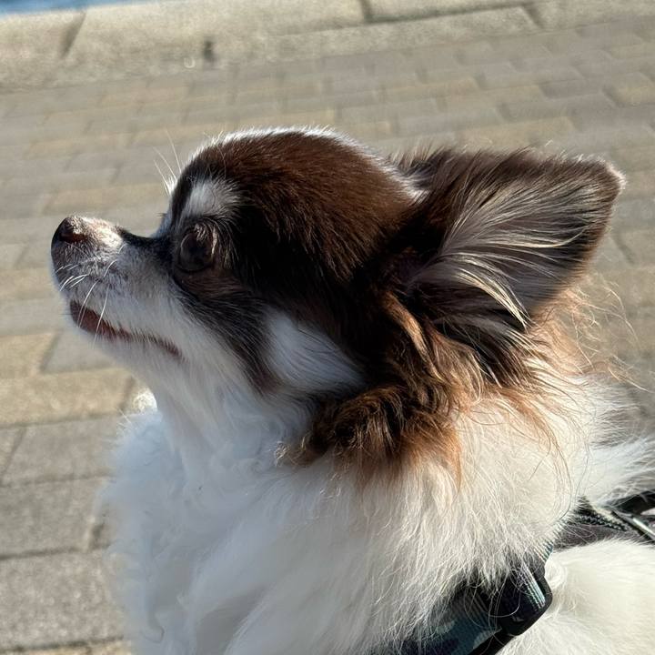 8dd31521 9d39 4b44 ab97 e05a44fc4818 1764558289769