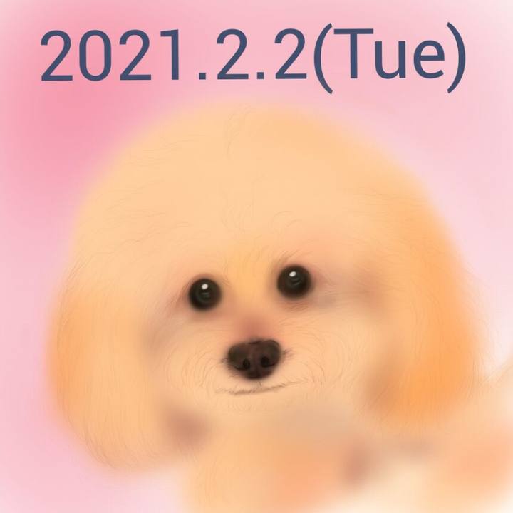 8dd32024 c7dd 41ac a572 60ff50ed9247 1612268080470