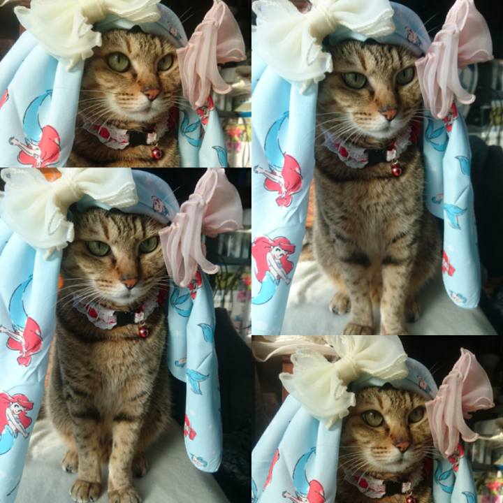 8dd342fc 3400 42f2 bf03 0edbace401ad 1766272193862