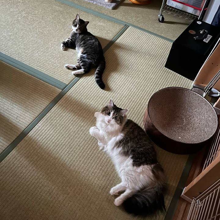 8dd397b6 940e 44a6 b0cf e67dfc5a7b07 1756528191775