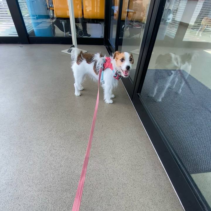 8dd4165a 39e3 459e 88c0 21994df99cee 1694913556823