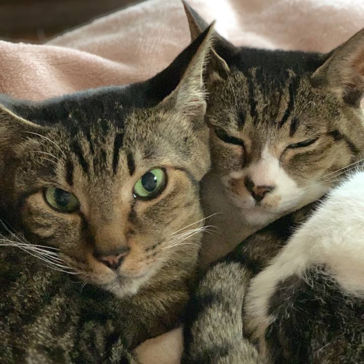 8dd4236f e3f4 4bb1 a00d d47d11abca2c 1549765573015