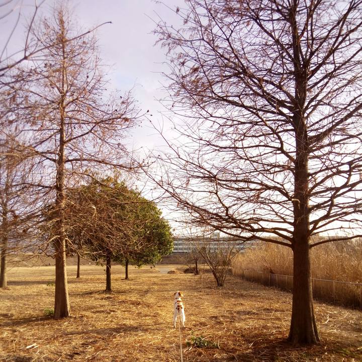 8dd43277 f8bf 4ae9 bcae 676913f0a83e 1517223867175