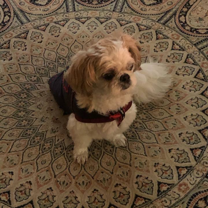 8dd45ed8 1579 4978 b83a d90942b440d9 1603230633016