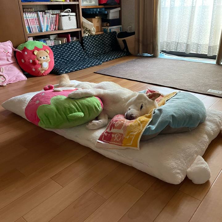 8dd4706f 9dc3 4122 babf b317b642fbc1 1662240707412