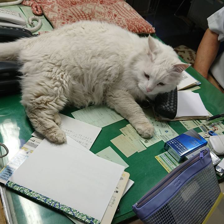 8dd47df6 d146 44ad b435 a0242e7ab5cb 1560162590490