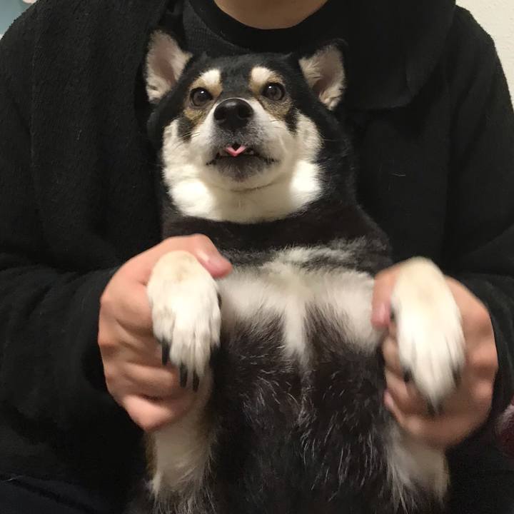 8dd4c4a7 1de3 4167 89b7 e2f5d8cf4bb8 1546690524621