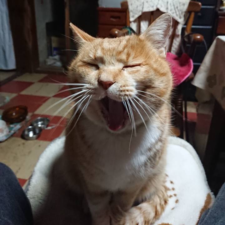 8dd4e60f 931a 4690 a596 30deff02d8ff 1580501203960