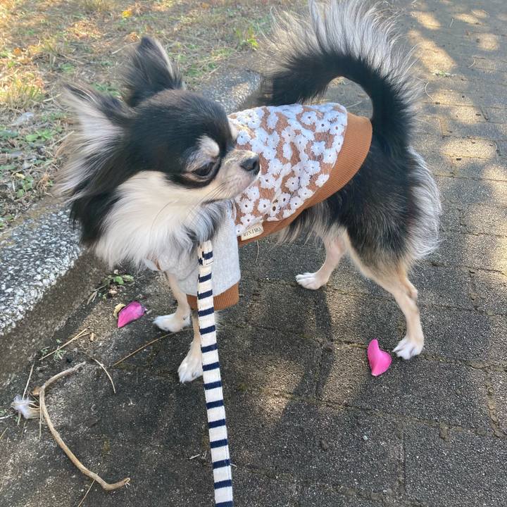 8dd4ea2a a08c 4043 9b76 6a5f70671566 1608441679769