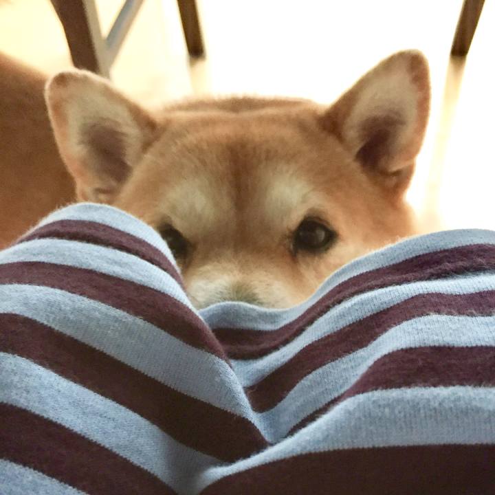 8dd504ac ea6f 486a 82bf 78dc729b96fe 1535867611313