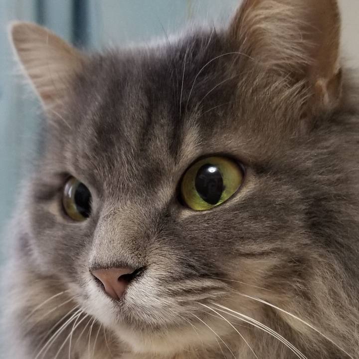 8dd510a5 abd3 4685 874f 405694489a70 1553324867309