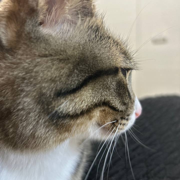 8dd5144f fd76 4259 91d0 6fd00a038c04 1771414460928