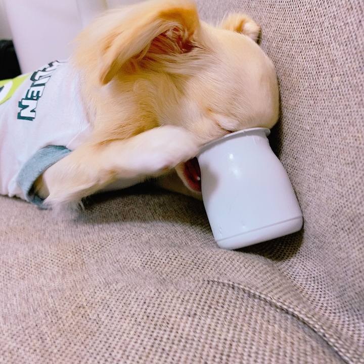 8dd525c2 df7d 47f6 ba60 a22e84d71a78 1635917965225