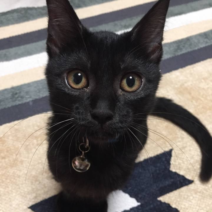 8dd5293e af53 48f7 af37 7f7bdeaaacfc 1561891489396