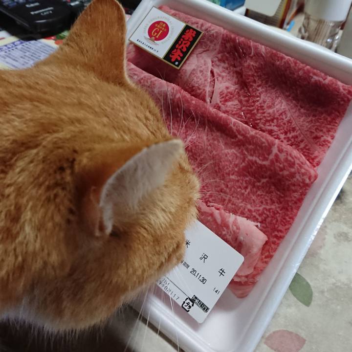 8dd530ab 47c5 4e2c 9dfe fcd4153f13eb 1606625999461