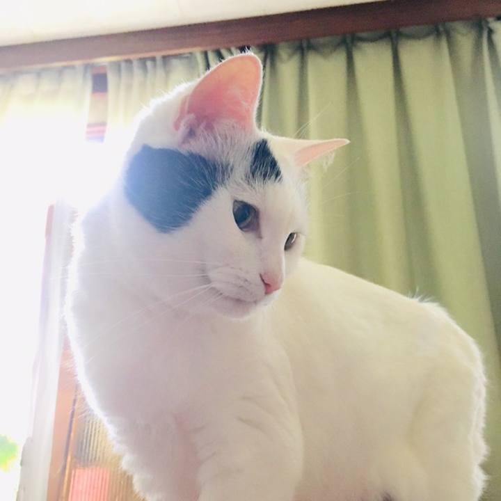 8dd56f37 b778 4c9d bb64 14810d79764d 1560307337220