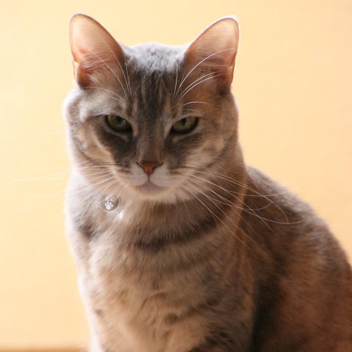 8dd5793e ca58 450c a41b 99e6e0ab25c8 1522632627806