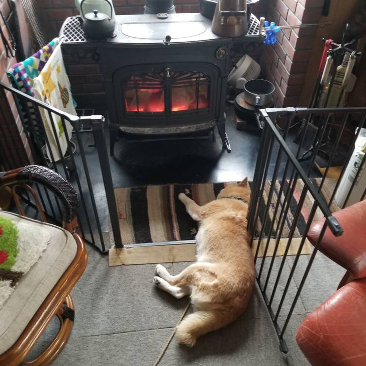 8dd57fd9 6c45 4667 bb8e 33f1f8bf7fb8 1705820528742