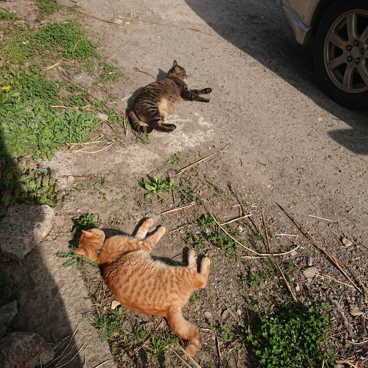 8dd57fde c235 4039 9c16 408d1cfc2efc 1650889212484