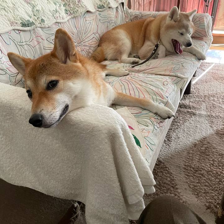 8dd59e87 ab8c 4c6c ba60 2d0d60eee311 1725238045688