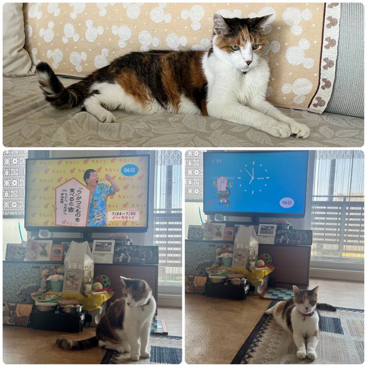 8dd5c4e6 fb11 481d 87cf bf2b750b2847 1690150450030