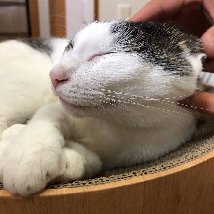 8dd5c5e1 b190 44c3 bf88 d02068cead78 1632834829999