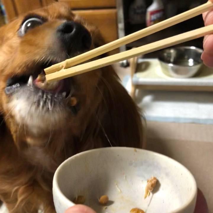 8dd5d615 4fdf 47b3 9a2a 7e739779469a 1588339136070