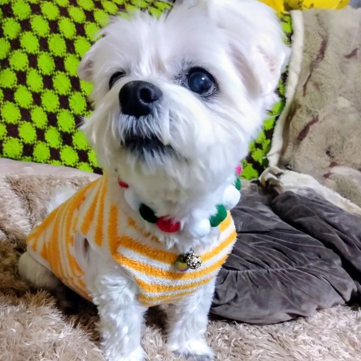 8dd5d7af 171b 42d3 9620 211c6d55637c 1762776485814