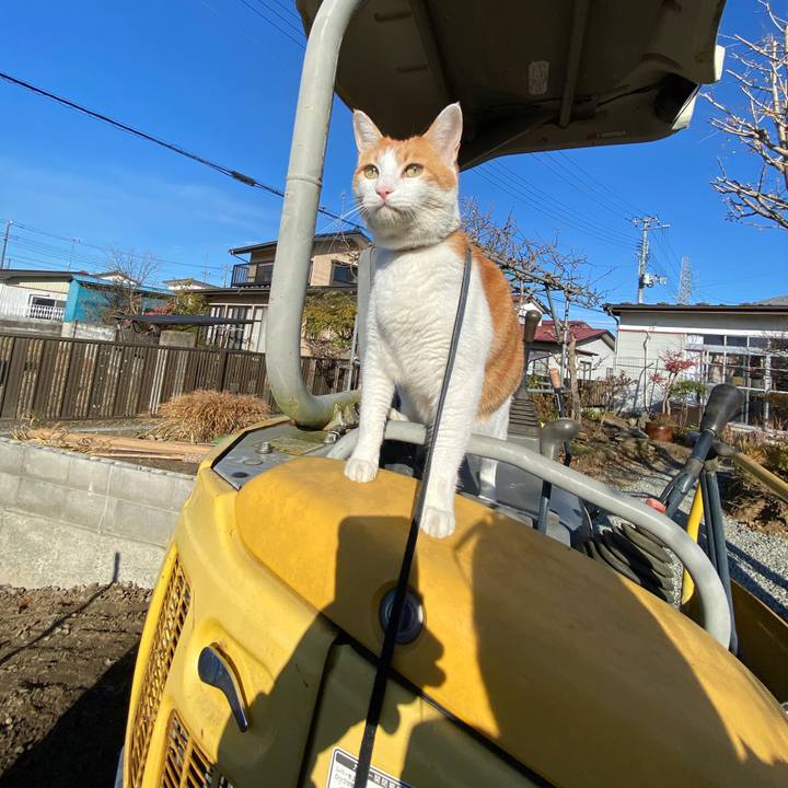 8dd6069e 4347 4631 b948 ec845259bd95 1606308318613