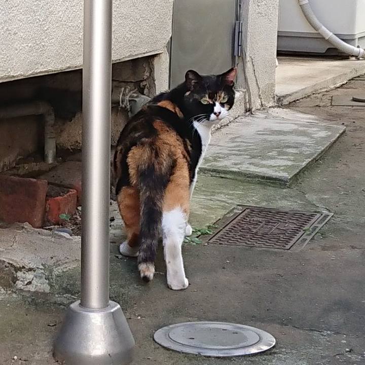 8dd62912 20fa 4b7d a9db 381fb546a6be 1629415000881