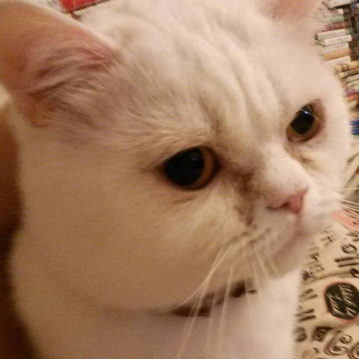 8dd65346 ffc3 4fa1 979e ab1aec30cd67 1523973793921