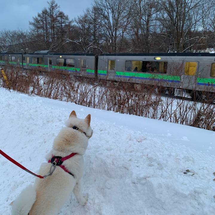 8dd6567f d2ee 4647 a19a 2d2d692c233f 1578355201447