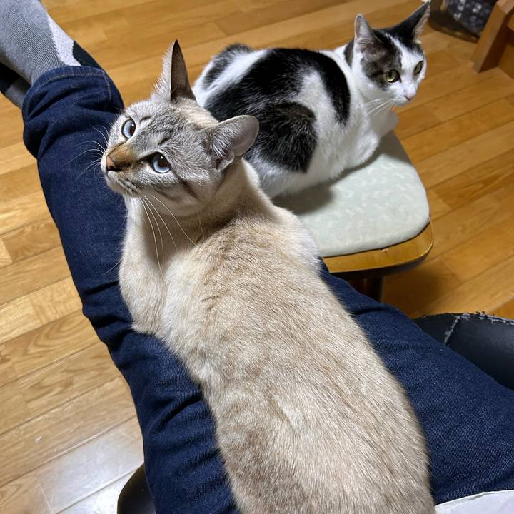 8dd68850 6c40 4cb9 9aa3 41d3b287ff2d 1764674407197