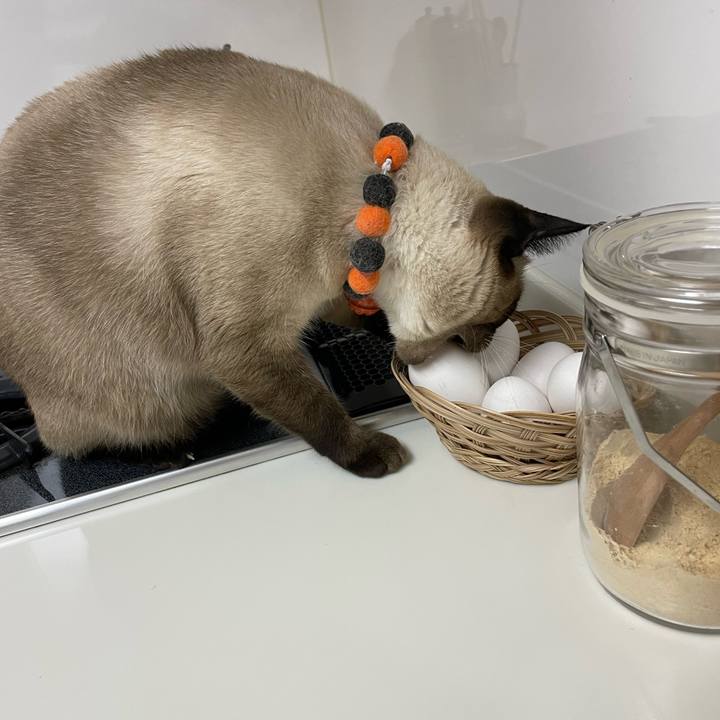 8dd6ae4a 61ac 4d64 b708 d3c07b9dc0c9 1728331314501