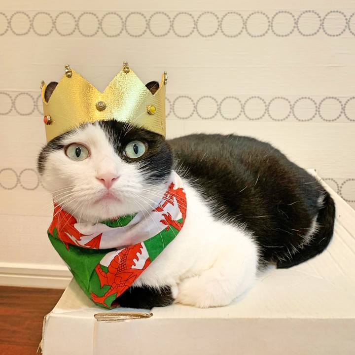 8dd6d6e1 caf0 4f35 a60d 566476296a23 1571561445068