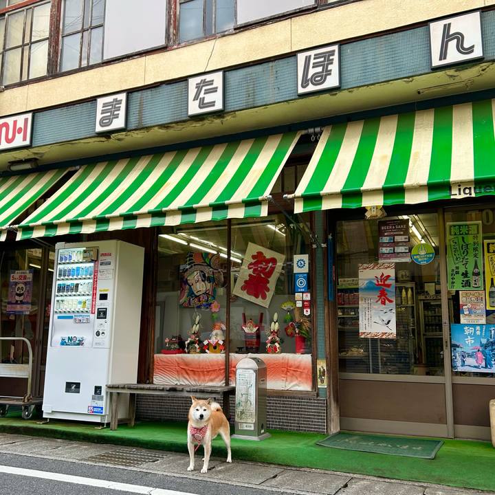 8dd76e62 28bd 41b0 88af 457b35a276eb 1736249520436