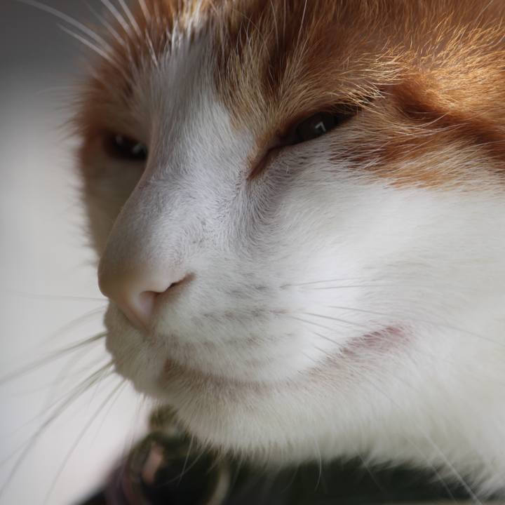 8dd79acd a826 401f a3f1 3523fbc9c2bf 1518696570961