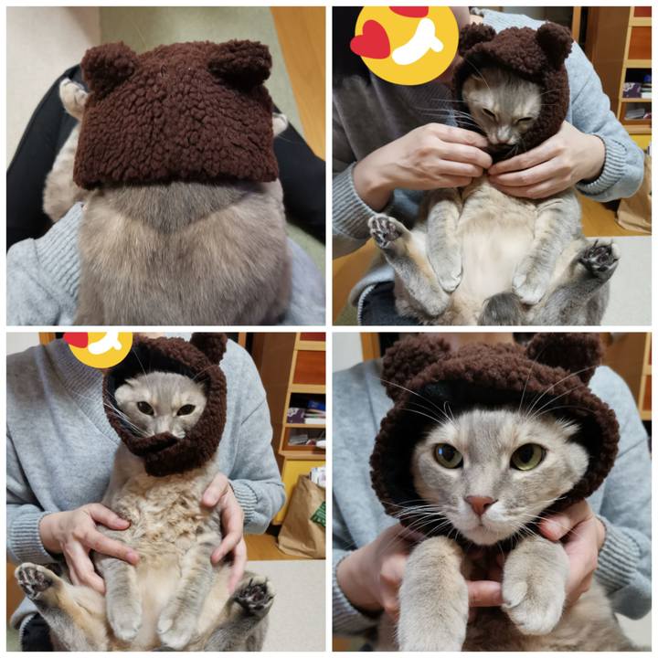 8dd7cc26 68f6 48c3 b784 630aeaacdec2 1611994105543