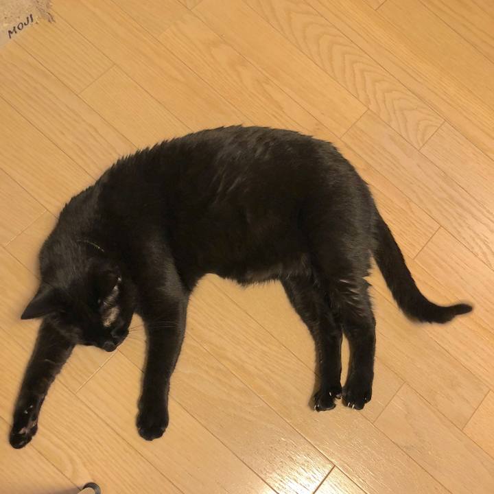 8dd7cf0d fa0d 480f b9ec 2141448ee05d 1516979050819