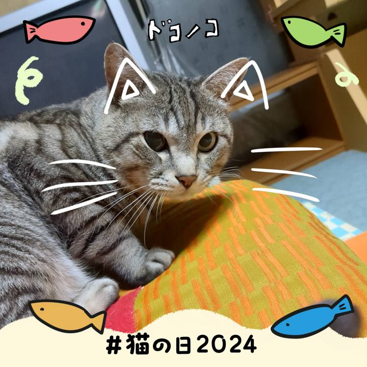 8dd806e0 e645 4eea 838e 244f639480f1 1708609026361